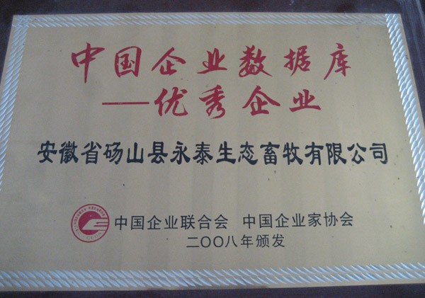 中国企业数据库——优秀企业