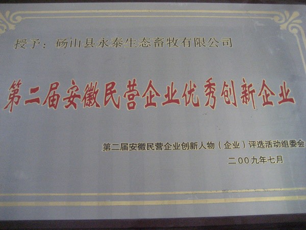 第二届安徽民营企业优秀创新企业