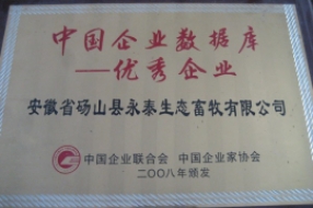 中国企业数据库——优秀企业