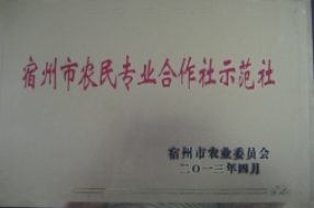 宿州市农业专业合作社示范班