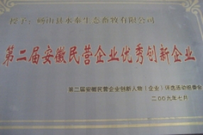 第二届安徽民营企业优秀创新企业